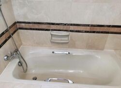 Gold Palm Mansion (D15), Apartment #635580761